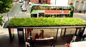 ‘Super’ shelter