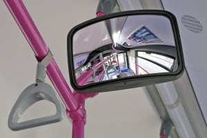 Mirror for wheelchair bay occupants