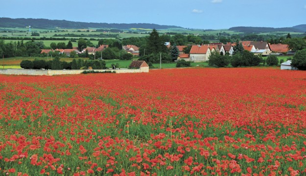 Industry support for the 2016 Poppy Appeal