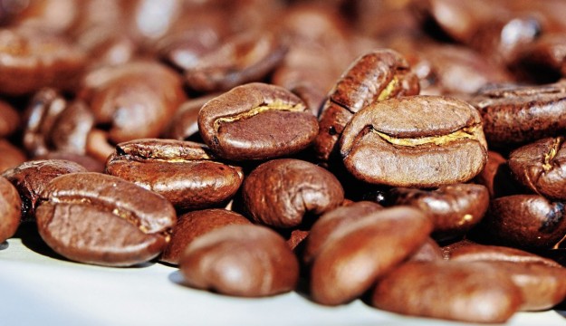 Coffee-powered biofuel buses
