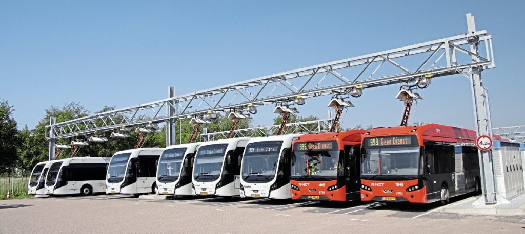 The different styling of the two bus types is illustrated in this shot. They have identical drivelines