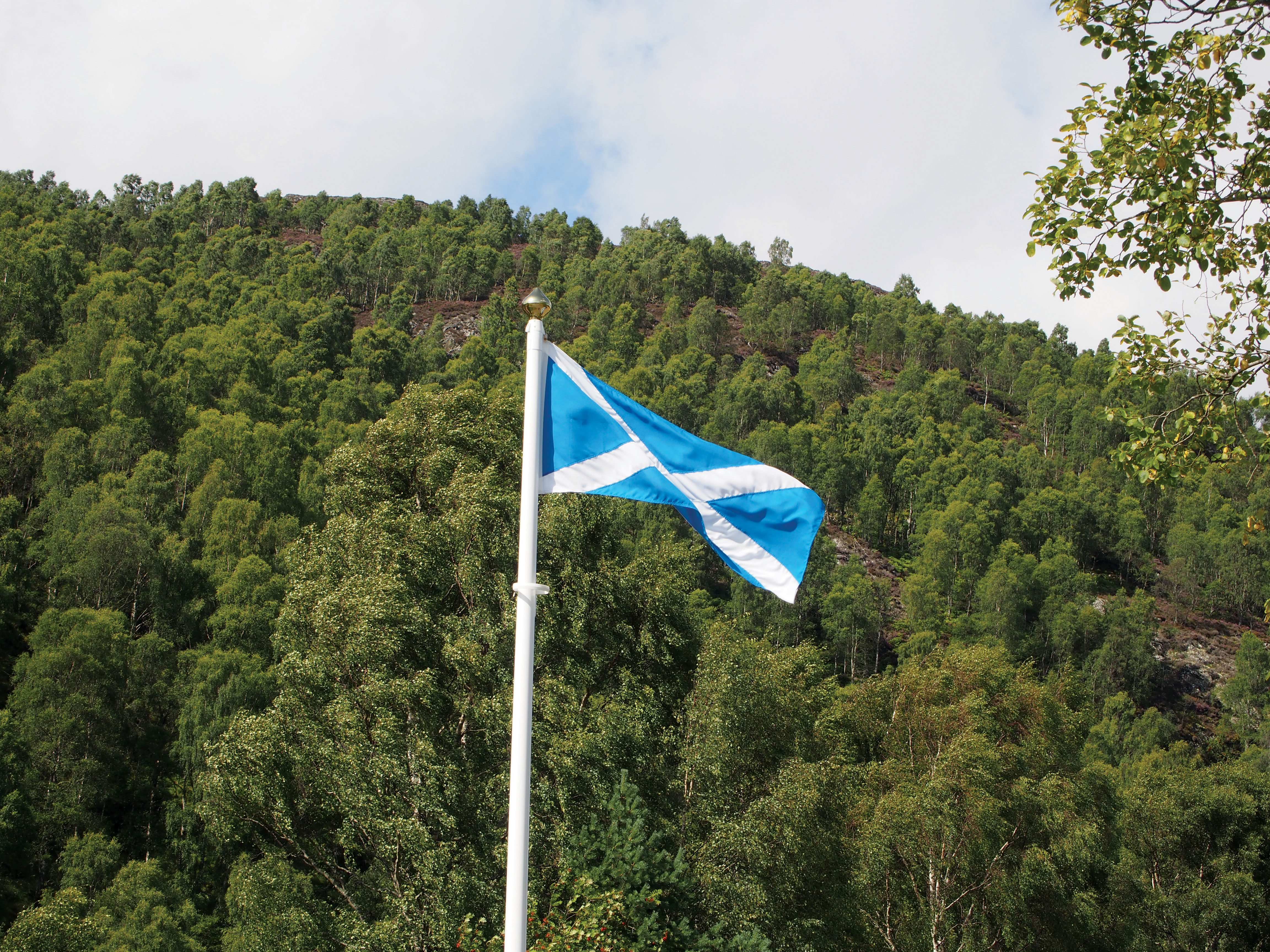 Scotland makes £9m available for green buses