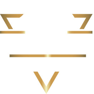 Future of cancelled Tanat Valley service discussed