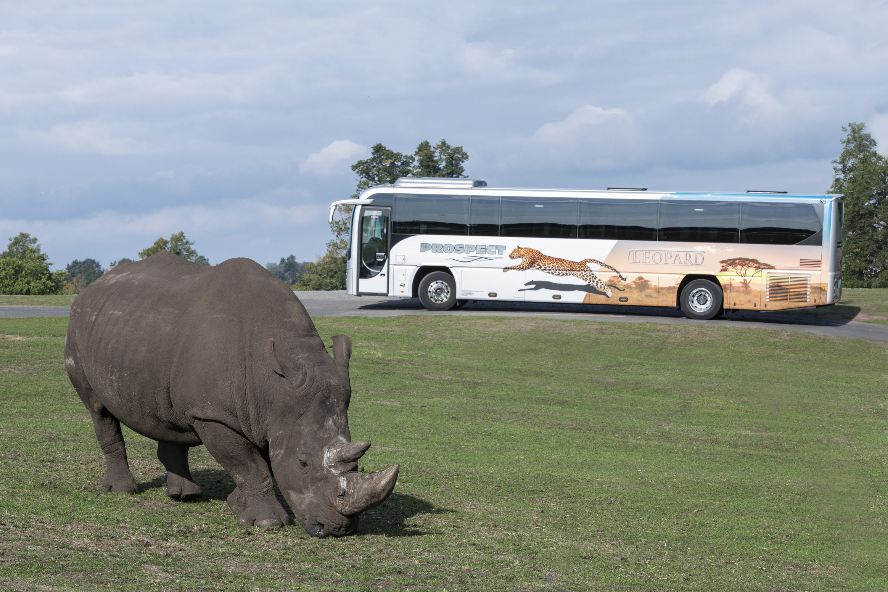 West Midlands Safari Park opens to groups