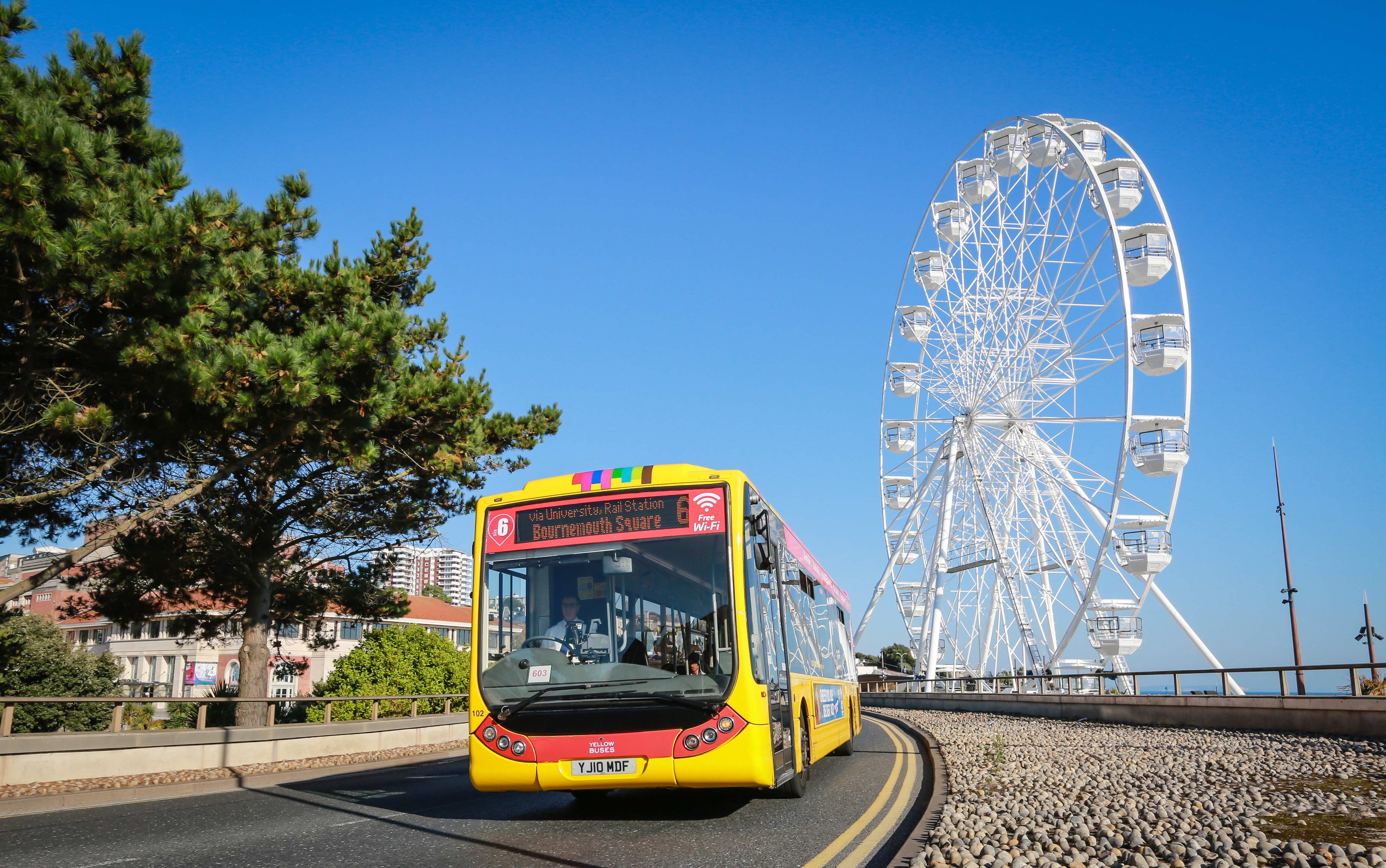 Yellow Buses in administration