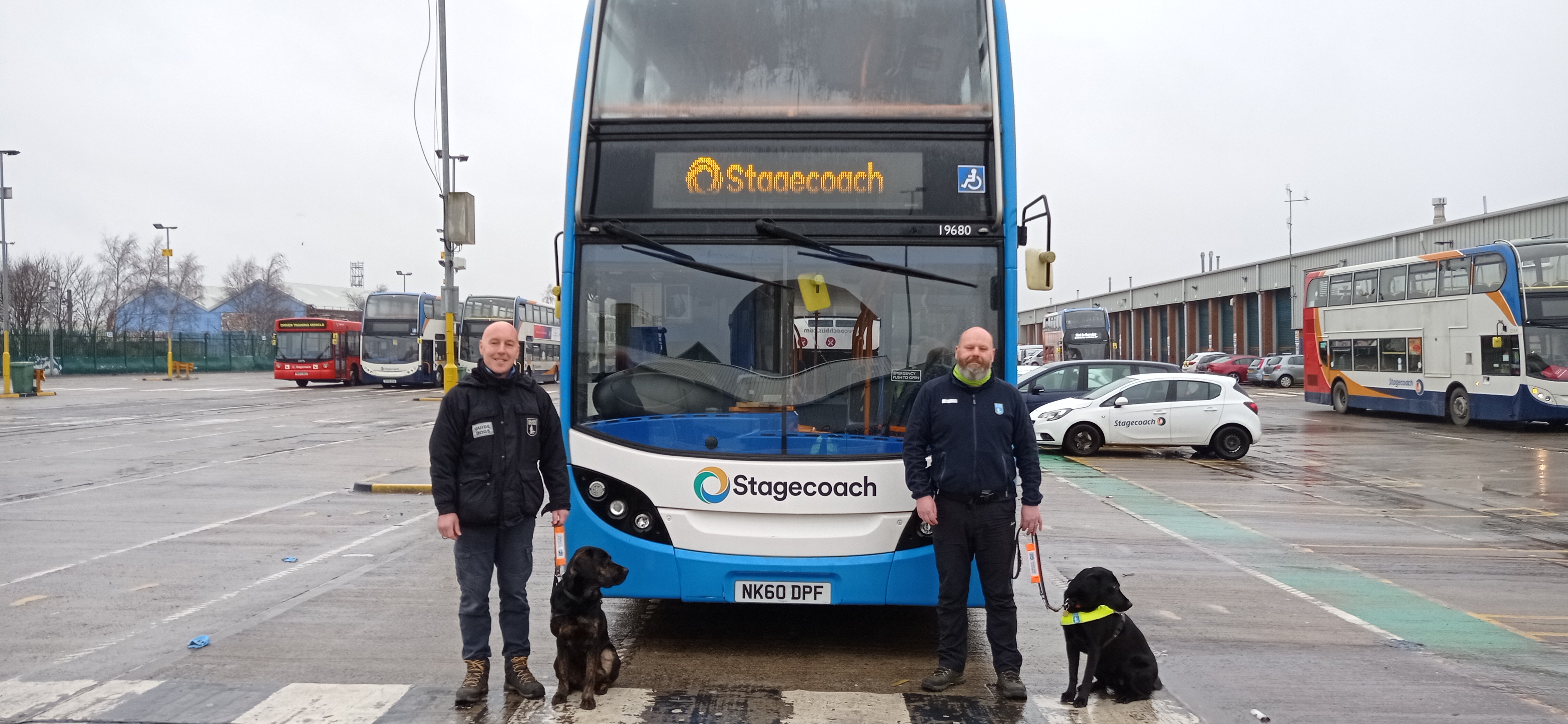 Guide dogs trained with help of Bus Users