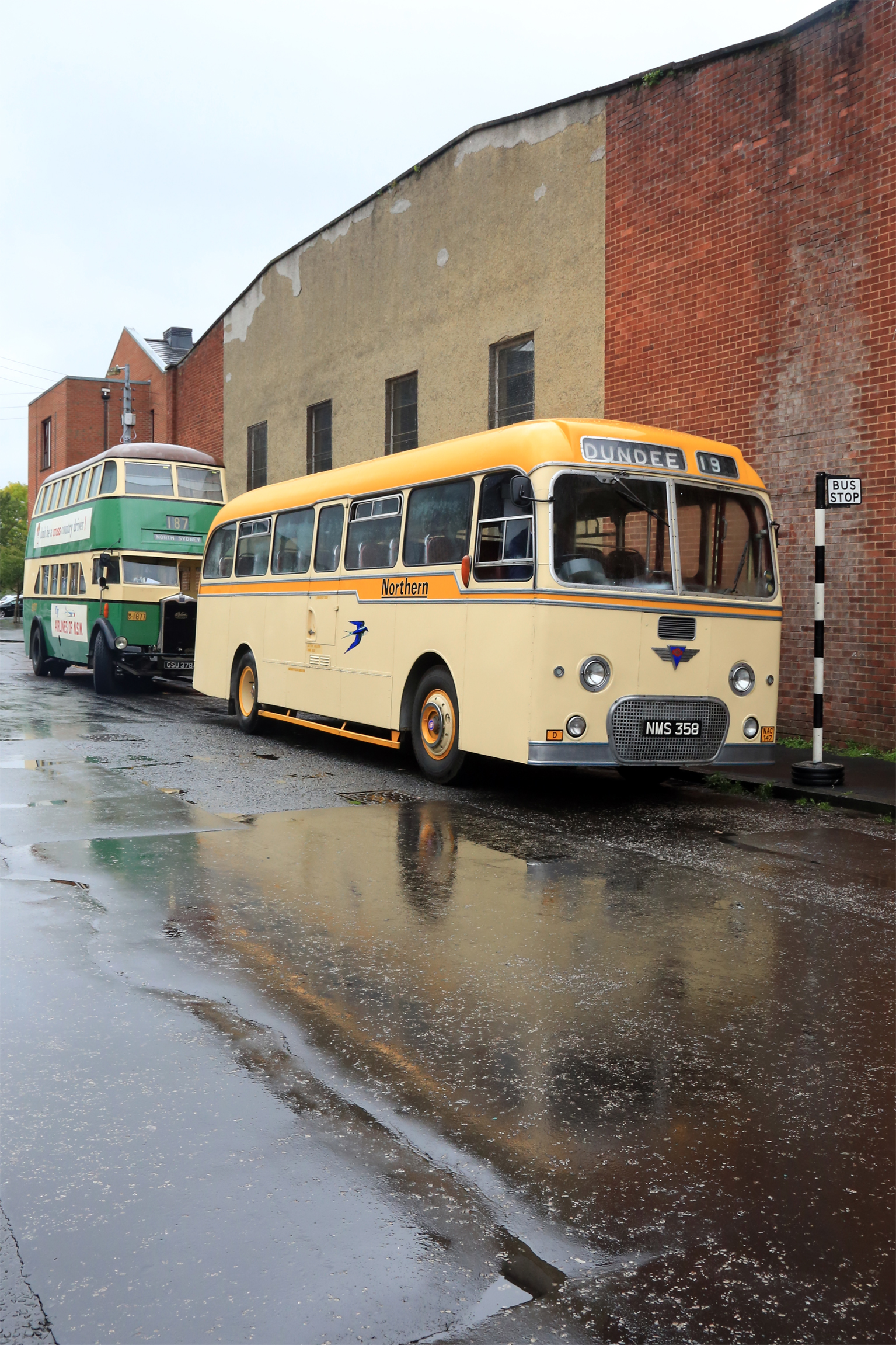 Frequent showers provided opportunity for reflected images, such as this 1960 Alexander Northern AEC Reliance with Alexander coachwork. Similar bodies, but on Leyland Tiger Cub chassis, in the colours of the other two components of the divided Alexander business were also on display  