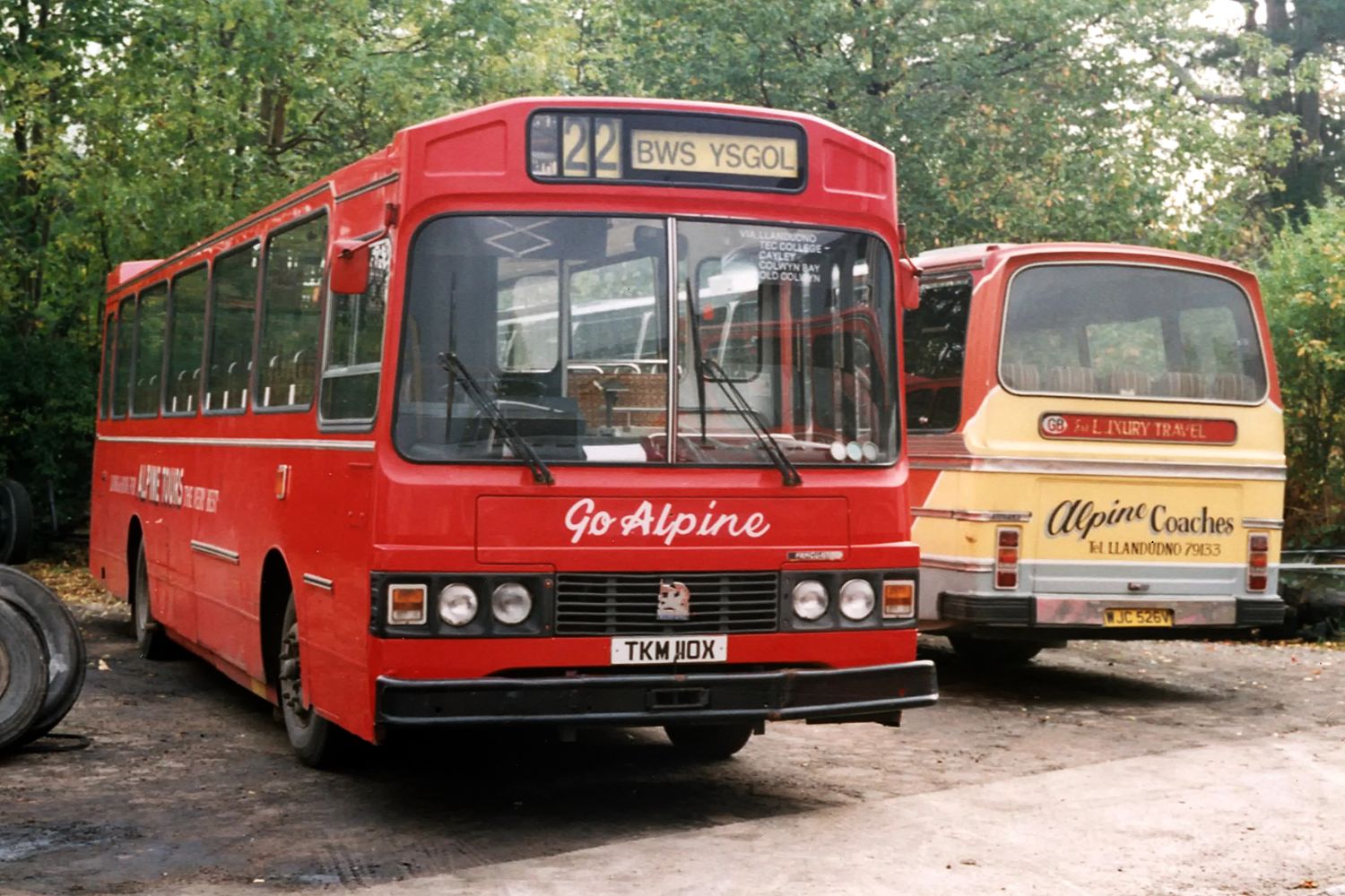 Distinctive Wadham Stringer bodywork was carried by this Bedford YNT which was in use as a school bus in 1990. It is obscuring most of a Duple Dominant bodied Ford R1114 that was one of the first brand new vehicles bought by Alpine Travel in 1979 (Copyright Arnold Chave)