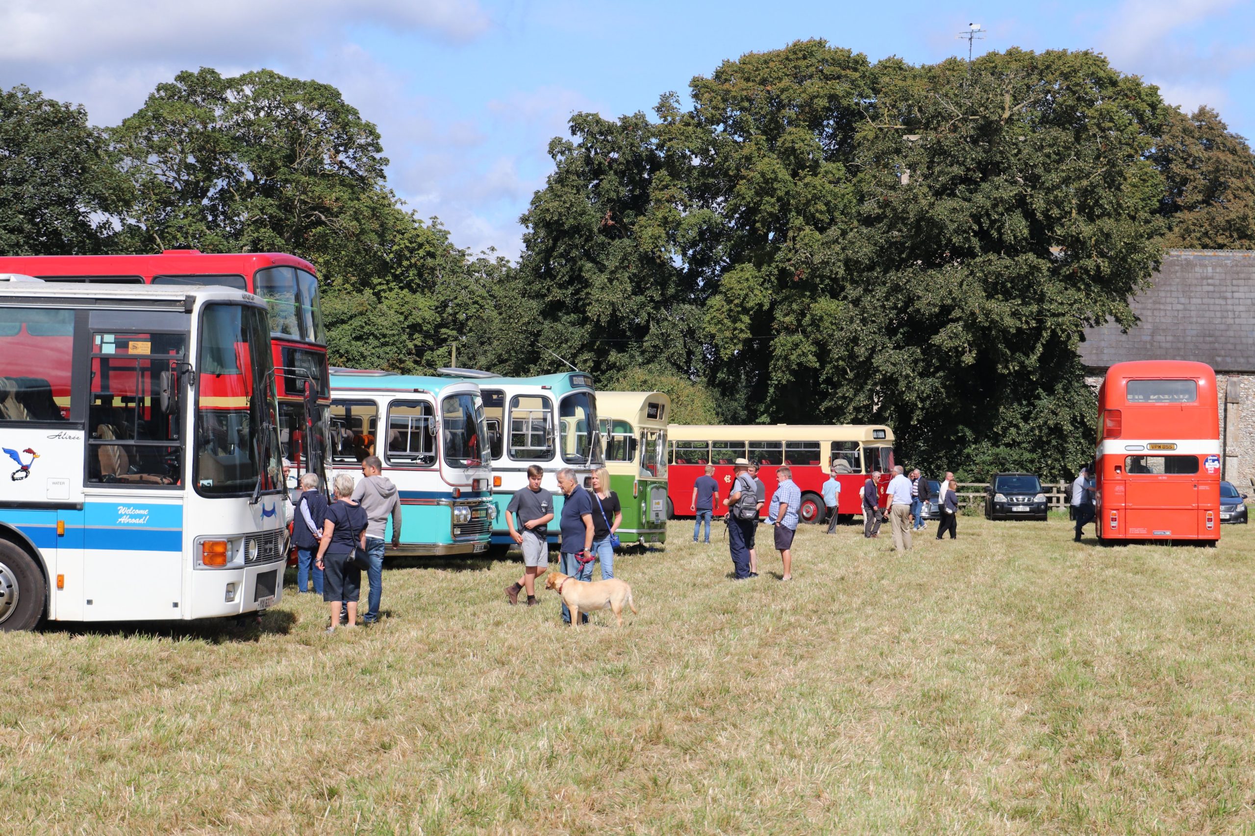 A scene from the centenary event showing a few of the vehicles present 